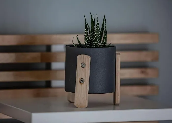 Apartman Minimal By The Sea *